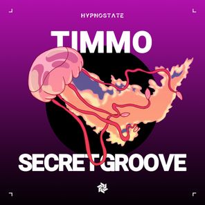 Timmo – Secret Groove