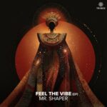 Mr Shaper – Feel The Vibe