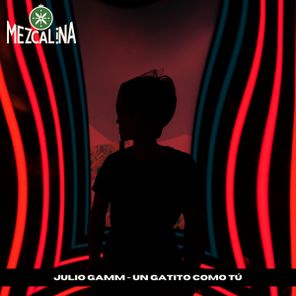 Julio Gamm – Un Gatito Como Tú