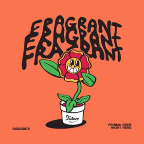 Prisma Deer – Right Here