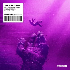 DJ Tomer, Ricardo Gi - Voodoo Life 1 DJ Tomer, Ricardo Gi – Voodoo Life