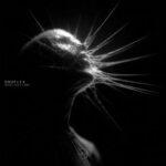 Droplex – Domination