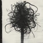 SVHS – Flora State