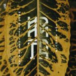 Tnas Afrika, Mboo Nihel – The Formula