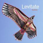 Ray Vortex – Levitate