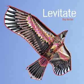 Ray Vortex – Levitate