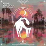 Cafe De Anatolia, Laura Pradelska – Anima Botanica