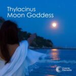 Thylacinus – Moon Goddess