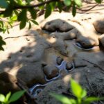 DJ Loverbash Chart (2026-02-17) Chart from DJ Loverbash