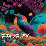 Polyplex – Giant Bird