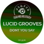 Lucid Grooves – Don’t You Say