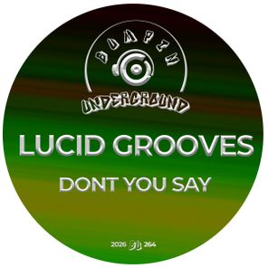 Lucid Grooves – Don’t You Say