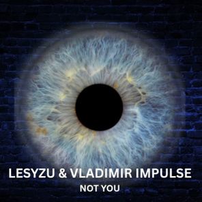 Vladimir IMpulse, Lesyzu – Not You