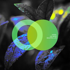 Leo Wood, Vassel – Beautiful Life