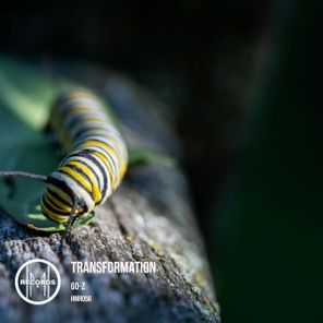 Go-z – Transformation