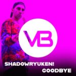 SHADOWRYUKEN! – Goodbye