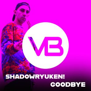 SHADOWRYUKEN! – Goodbye