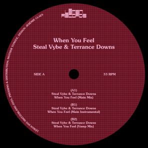 Terrance Downs, Steal Vybe – When You Feel