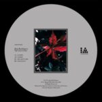 Jörg Rodriguez – NRG meets HRG