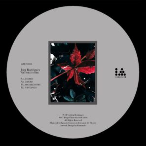 Jörg Rodriguez – NRG meets HRG