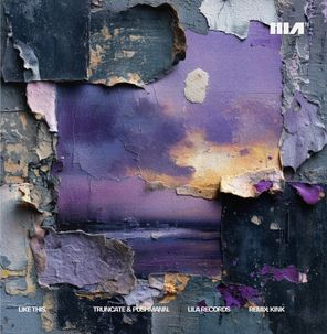 Pushmann, Truncate – Like This