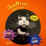 Swarup Varma – Shanice, Shut It Up! DJ Tool II