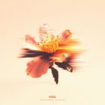 a81771a3 b292 49ac a996 82e7078f9097