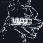 Will Sparks – Mad