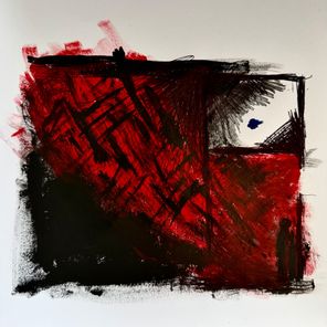 VOICEX – Naturaleza Imperfecta