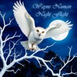 Wayne Numan – Night Flight