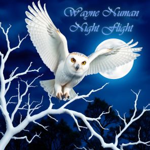 Wayne Numan – Night Flight
