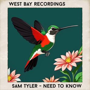 Sam Tyler – Need To Know