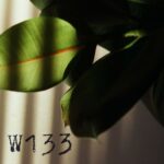 Endrew, Martini - Flight to La Isla Del Encanto EP 3 Endrew, Martini – Flight to La Isla Del Encanto EP