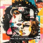 Plunk.ton, Ariyam – Own the Night (Remixed)