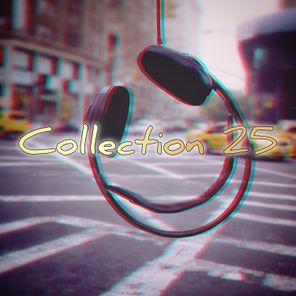 WhiteИoise – Collection 25
