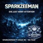 Sparkzeeman, Zigga MC – She Just Wants Attention / No Fear