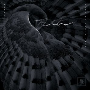 hayve – What It Feels Like