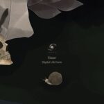 Elazar – Digital Life Form