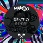 Inno (IT) – Sientelo