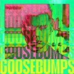 Hutte – Goosebumps