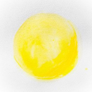 Fonzo – Dolphins Ride