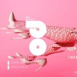 Mass Prodigy – Love Me Crazy