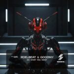 Goodiny, RoelBeat – Do What you Want