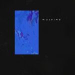 A. Whales – Nothing