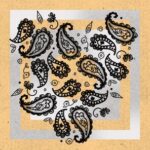 Titus 12 - Paisley Breaks 3 Titus 12 – Paisley Breaks