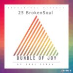 Soul Fleva, Canoe Deep – BrokenSoul 25 Bundle Of Joy