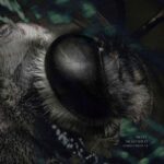 Nicko Shuo – Sigma