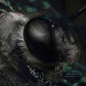 Nicko Shuo – Sigma