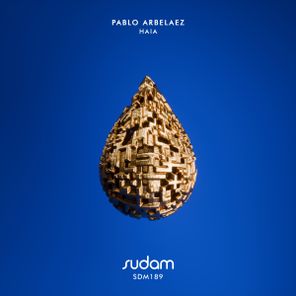 Pablo Arbelaez – Haia