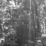 Marco Delforno – Aqualite